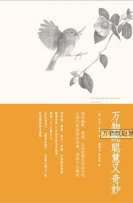 万物既聪慧又奇妙.jpg